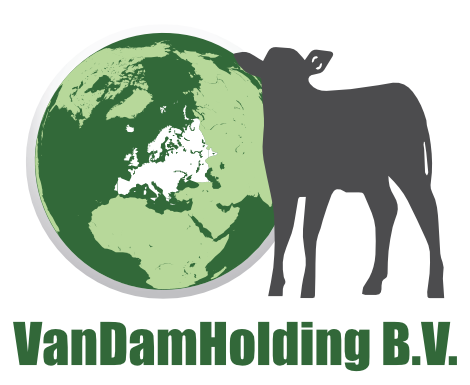 Logo VanDamHoldingBV